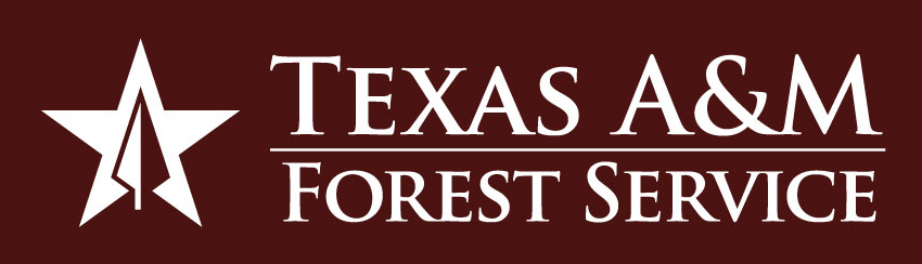Texas A&M